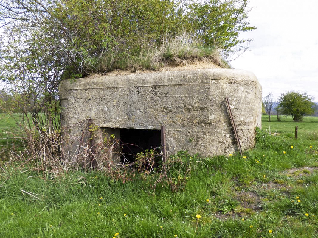 Ligne Maginot - BA86 - CENSE AU SEL - (Blockhaus pour canon) - 