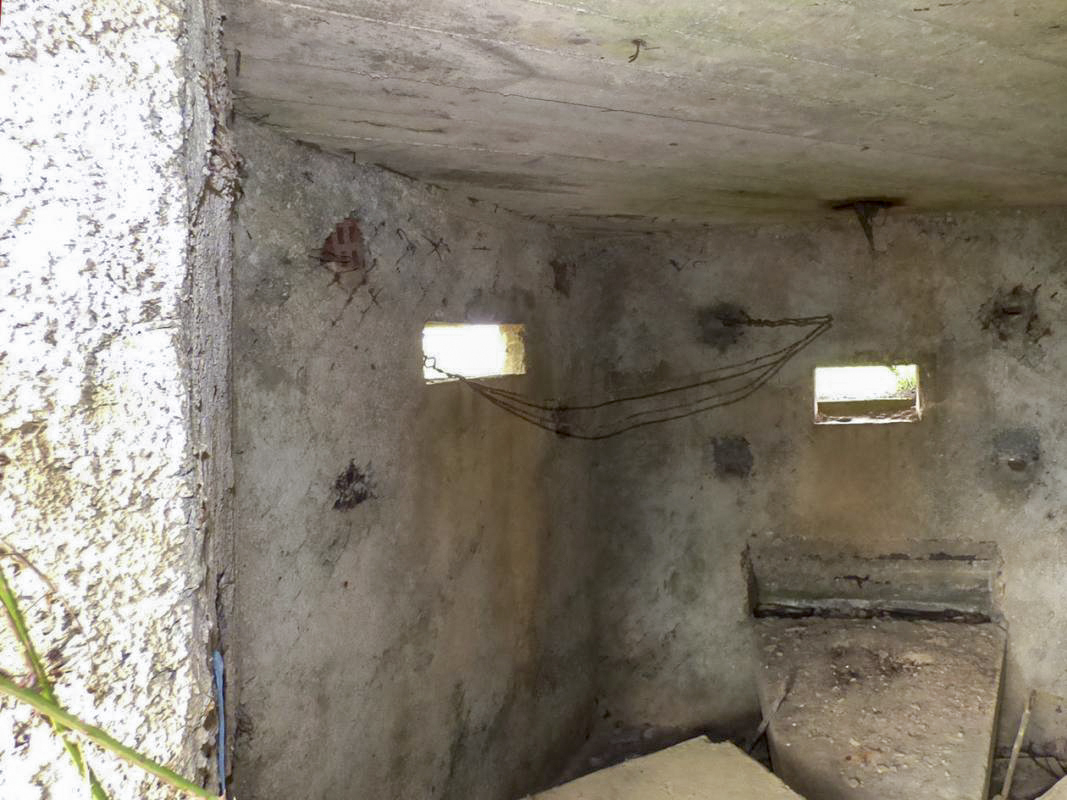 Ligne Maginot - BA86 - CENSE AU SEL - (Blockhaus pour canon) - 