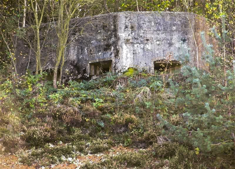 Ligne Maginot - BA89 - MOULIN LACAILLE - (Blockhaus pour canon) - 