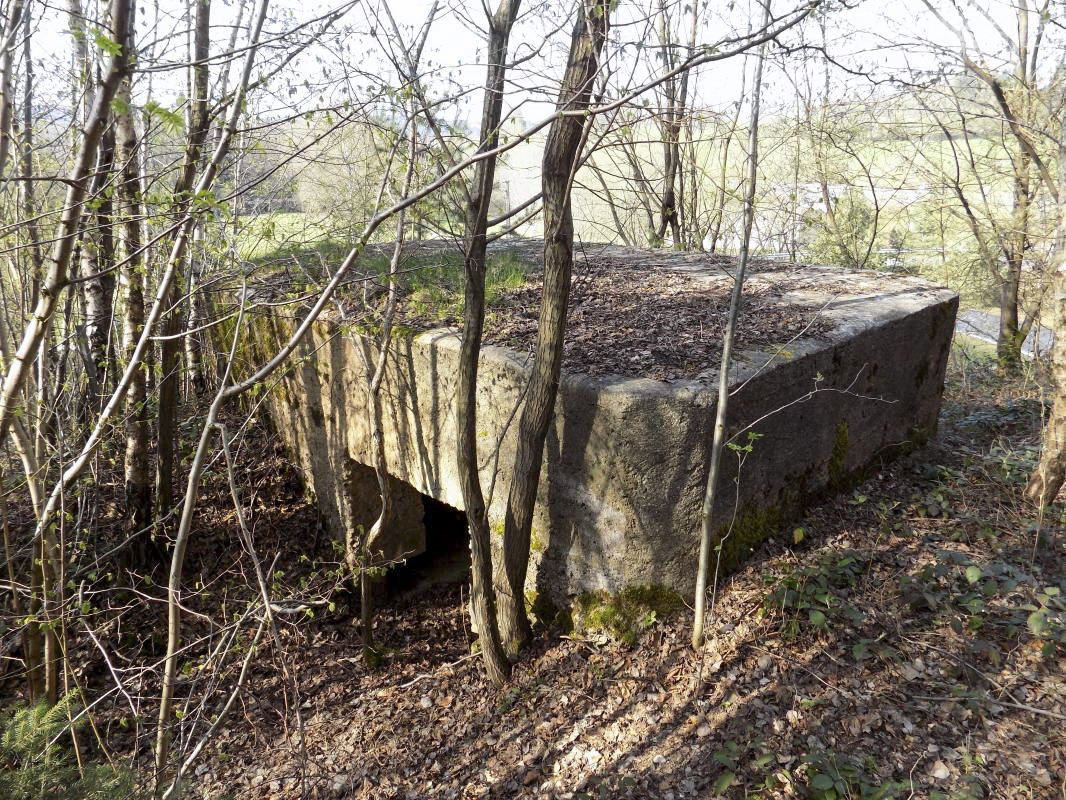 Ligne Maginot - BA89 - MOULIN LACAILLE - (Blockhaus pour canon) - L'arrière et face droite