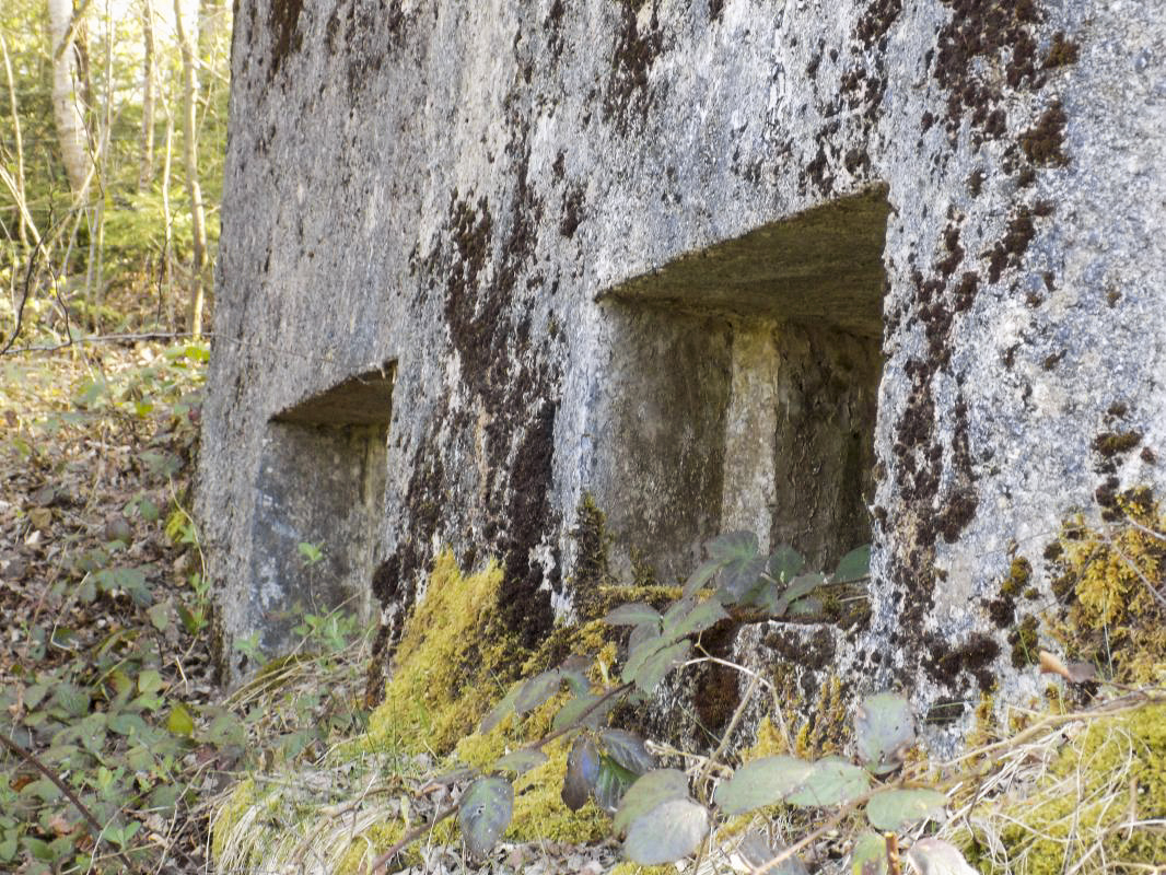 Ligne Maginot - BA89 - MOULIN LACAILLE - (Blockhaus pour canon) - Face frontale