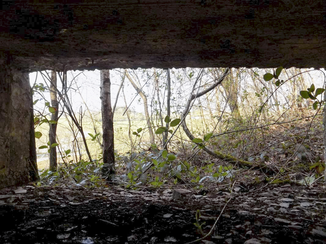 Ligne Maginot - BA89 - MOULIN LACAILLE - (Blockhaus pour canon) - Vue créneau Hotchkiss vers le nord - R Tucker