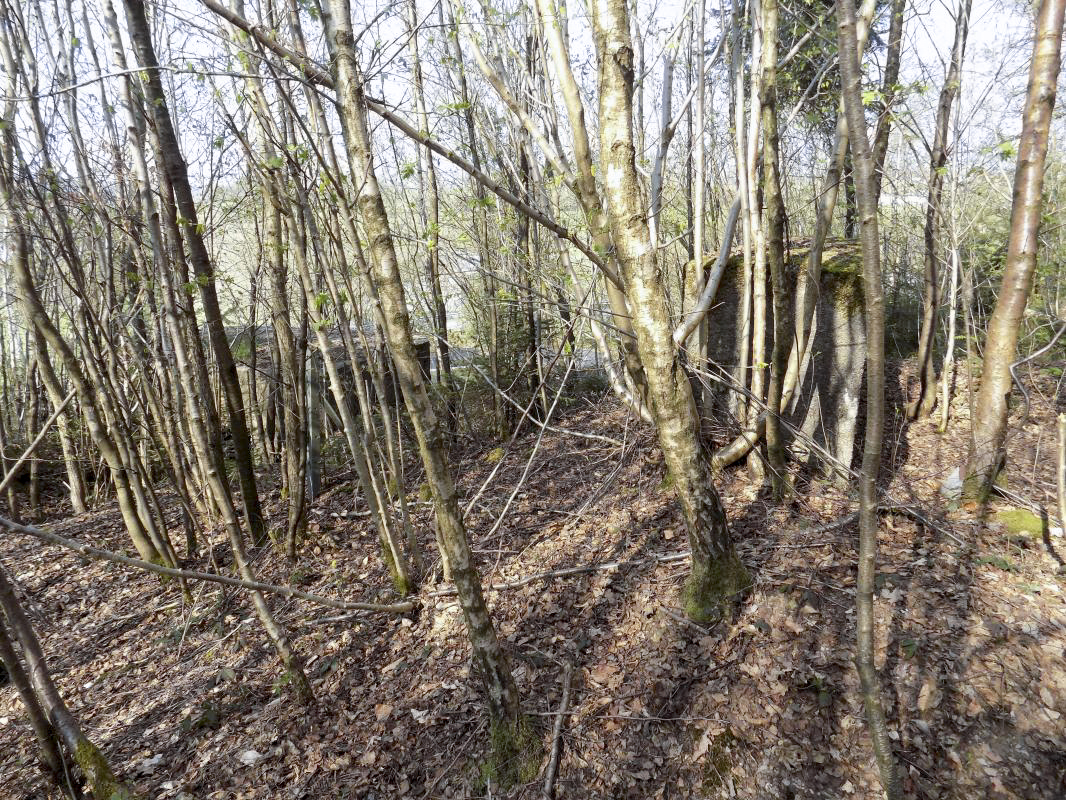 Ligne Maginot - BA89 - MOULIN LACAILLE - (Blockhaus pour canon) - Le blockhaus Ba89 en bas à gauche et 'le mur' à droite