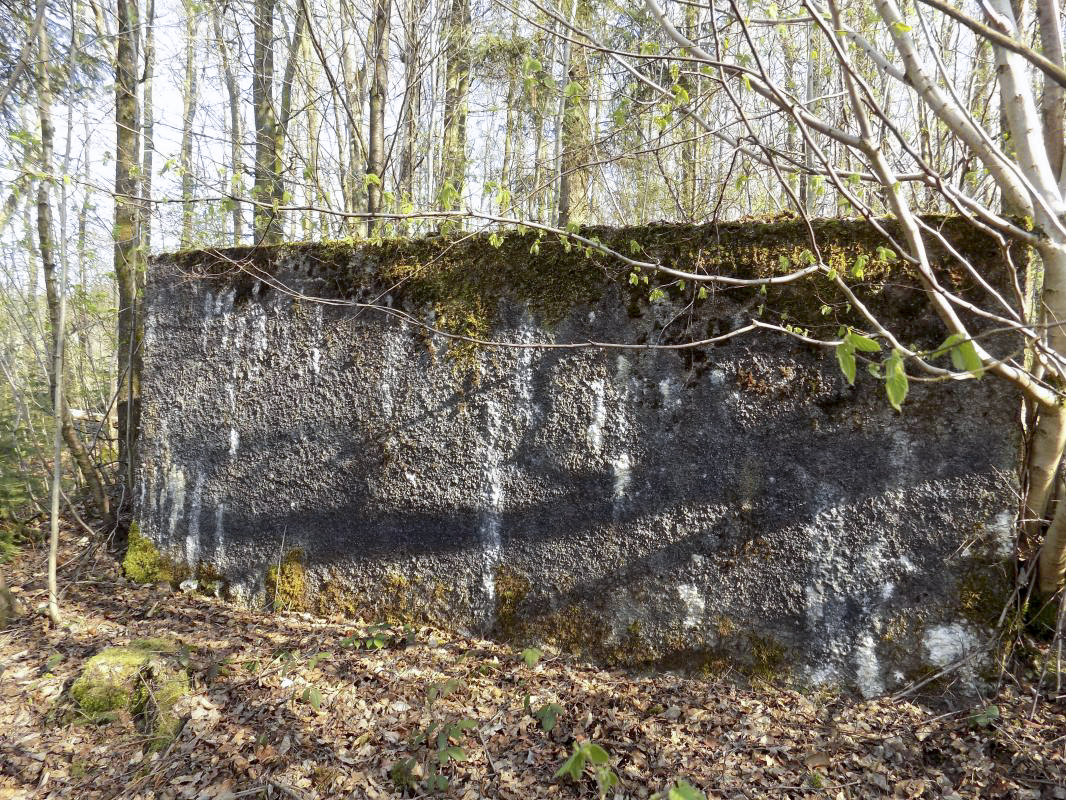 Ligne Maginot - BA89 - MOULIN LACAILLE - (Blockhaus pour canon) - 'Le mur', côté face au blockhaus