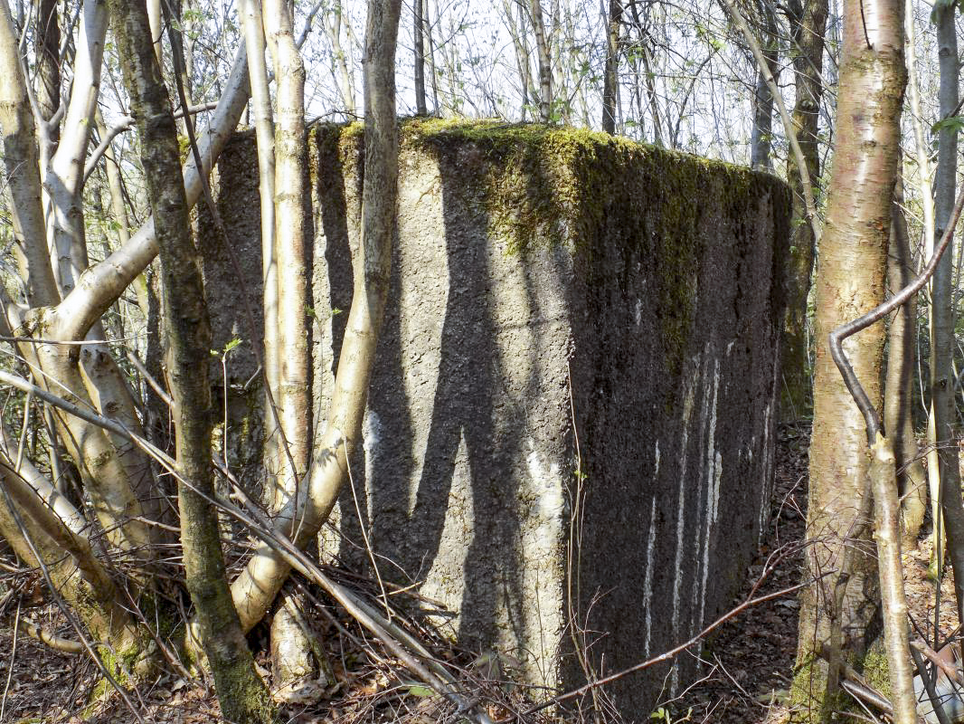 Ligne Maginot - BA89 - MOULIN LACAILLE - (Blockhaus pour canon) - 'Le mur'