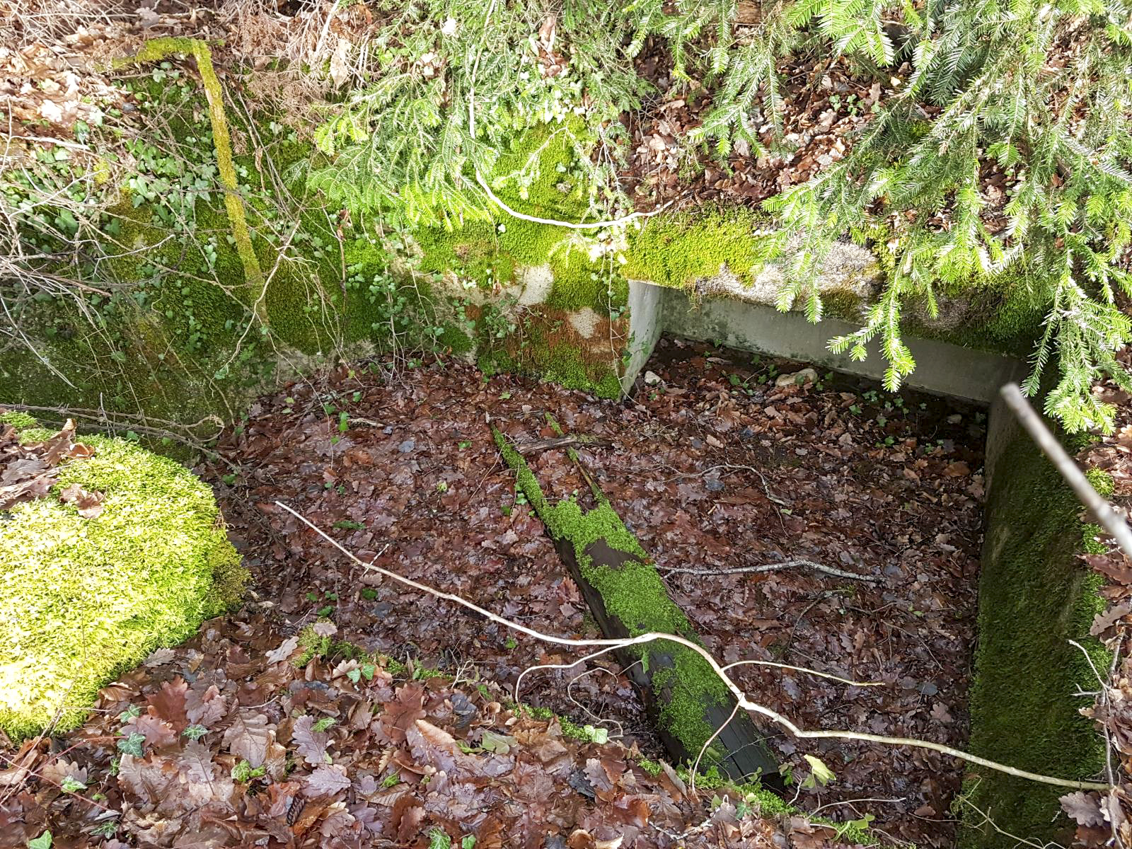 Ligne Maginot - 201 - FONTAINE DE LA PLANCHETTE - (Cuve pour canon) -  - Inconnu