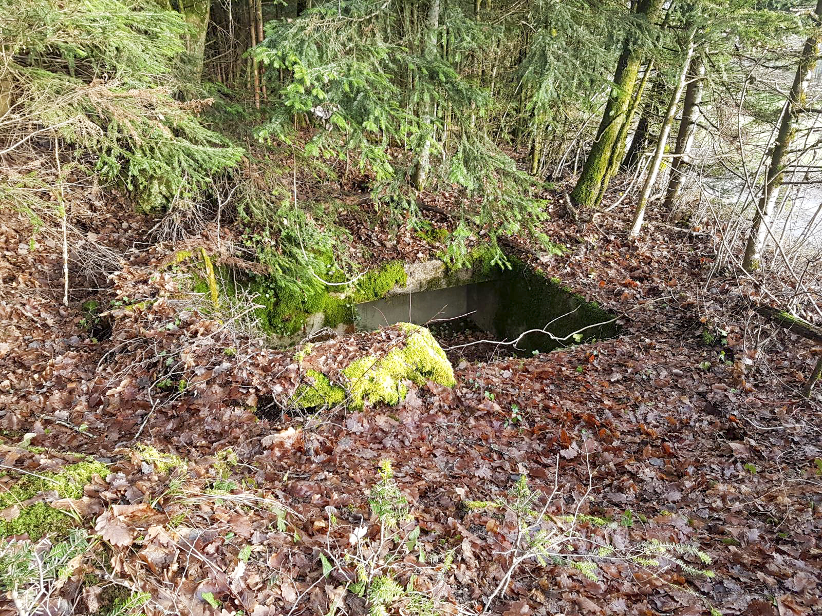 Ligne Maginot - 201 - FONTAINE DE LA PLANCHETTE - (Cuve pour canon) -  - Inconnu