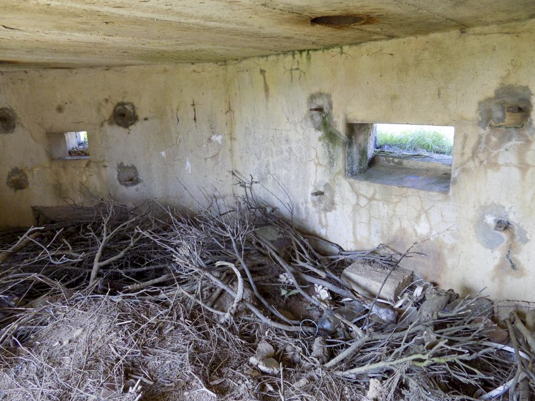 Ligne Maginot - BA91 - LE BOCHET NORD - (Blockhaus pour canon) - Face frontale créneaux Hotchkiss et AC - R Tucker