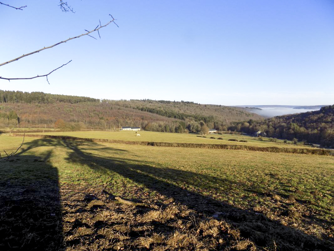 Ligne Maginot - BA94 - LE COUVENT - (Blockhaus pour canon) - Vue face frontale vers le nord-est