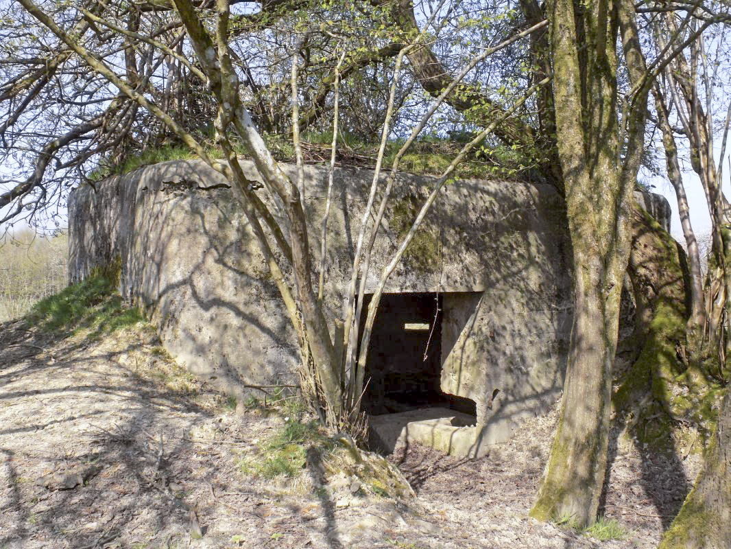 Ligne Maginot - BA95 - BOUT D'EN HAUT SUD - (Blockhaus pour canon) - L'arrière - R Tucker