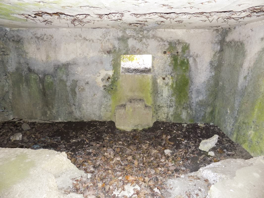 Ligne Maginot - BA96 - AVANCÉE DE ROCROI SUD-OUEST - (Blockhaus pour arme infanterie) - Face frontale créneau AC - R Tucker