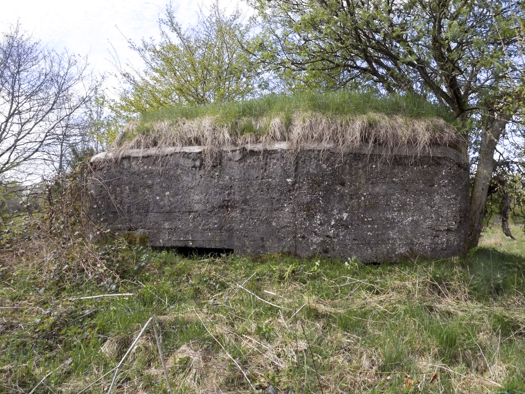 Ligne Maginot - BA98 - AVANCÉE DE ROCROI OUEST - (Blockhaus pour canon) - Face frontale - R Tucker