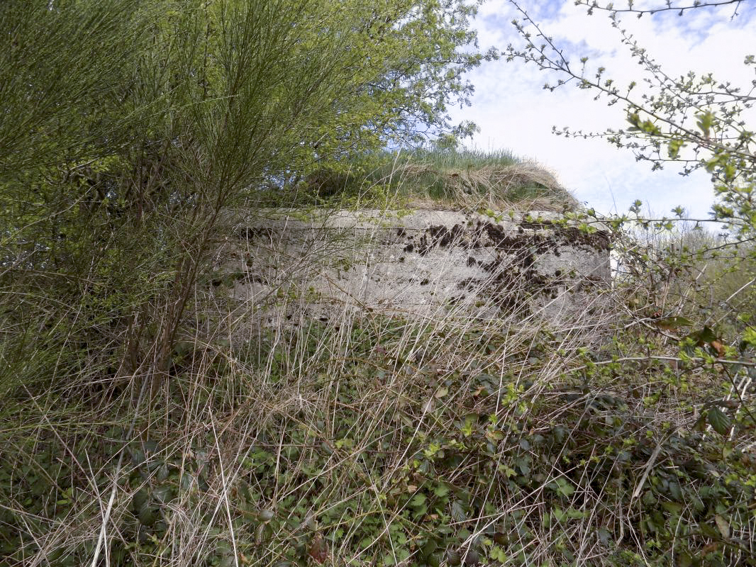 Ligne Maginot - BA98 - AVANCÉE DE ROCROI OUEST - (Blockhaus pour canon) - Face droite - R Tucker