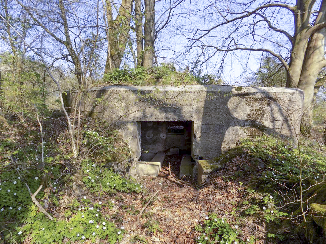 Ligne Maginot - BA99 - LES SAPINS - (Blockhaus pour canon) - L'arrière avec l'entrée AC - R Tucker