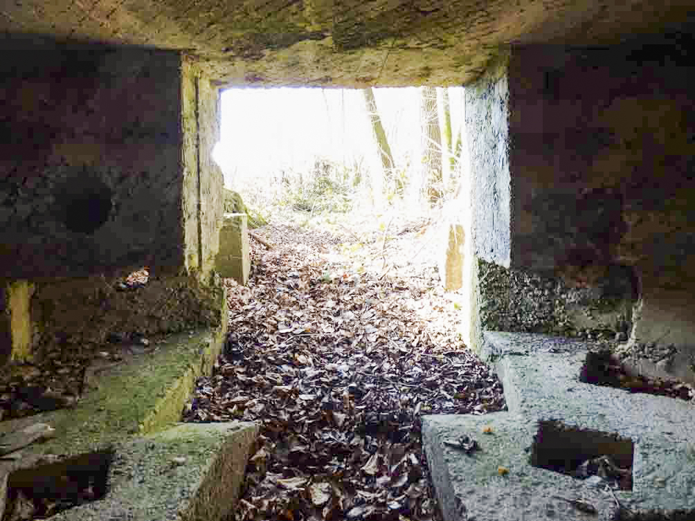 Ligne Maginot - BA99 - LES SAPINS - (Blockhaus pour canon) - 
