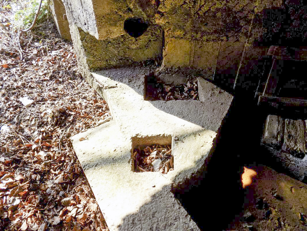 Ligne Maginot - BA99 - LES SAPINS - (Blockhaus pour canon) - Positions pour deux types de canon AC