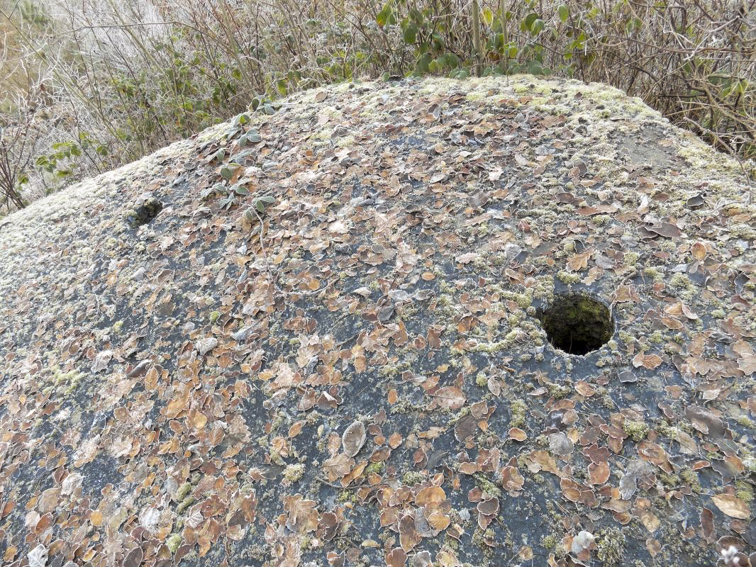 Ligne Maginot - BA100 - MOULIN NOIZET - (Blockhaus pour arme infanterie) - Les cheminées