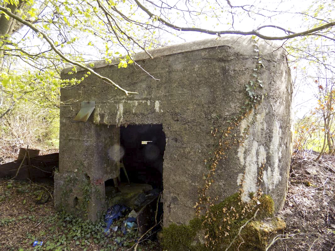 Ligne Maginot - BA101 - AVANCÉE DE ROCROI SUD - (Blockhaus pour canon) - L'arrière
