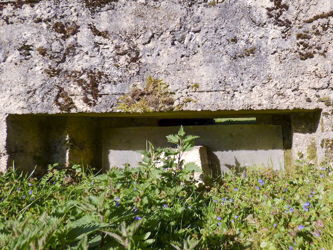 Ligne Maginot - BA102 - HIRAUMONT NORD-EST - (Blockhaus pour canon) - 