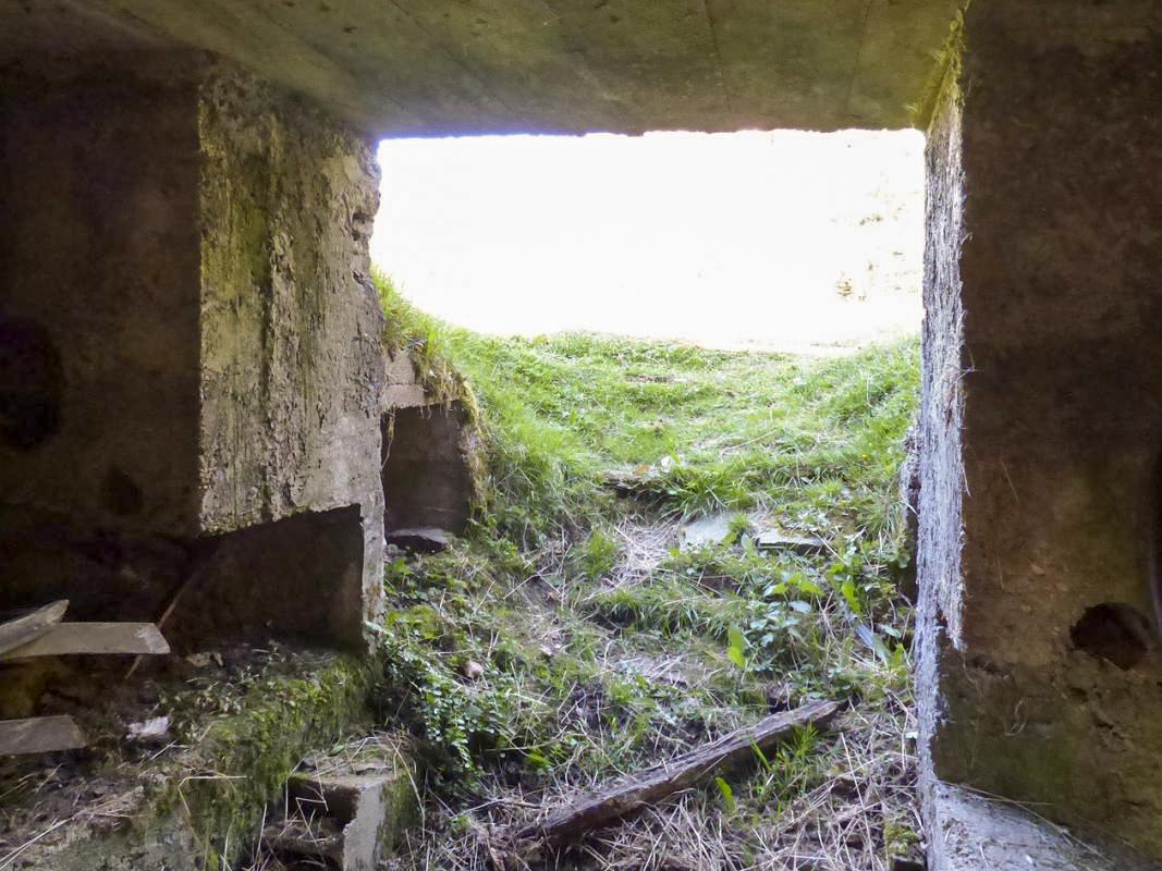 Ligne Maginot - BA102 - HIRAUMONT NORD-EST - (Blockhaus pour canon) - 