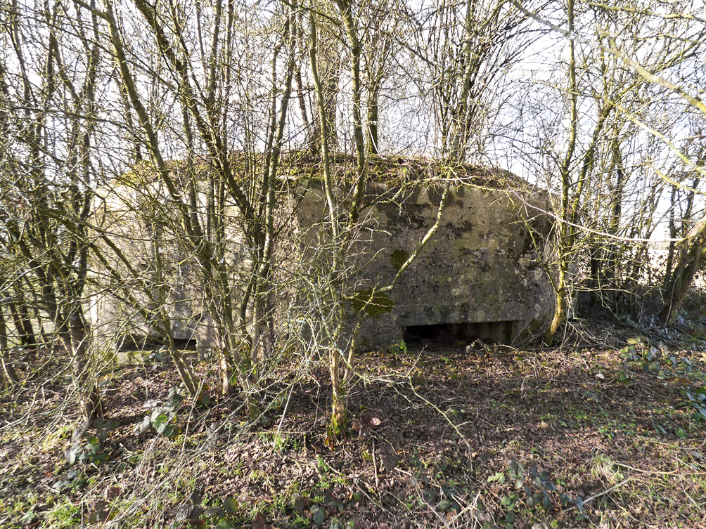 Ligne Maginot - BA102BIS - LE PAQUIS - (Blockhaus pour canon) - 
