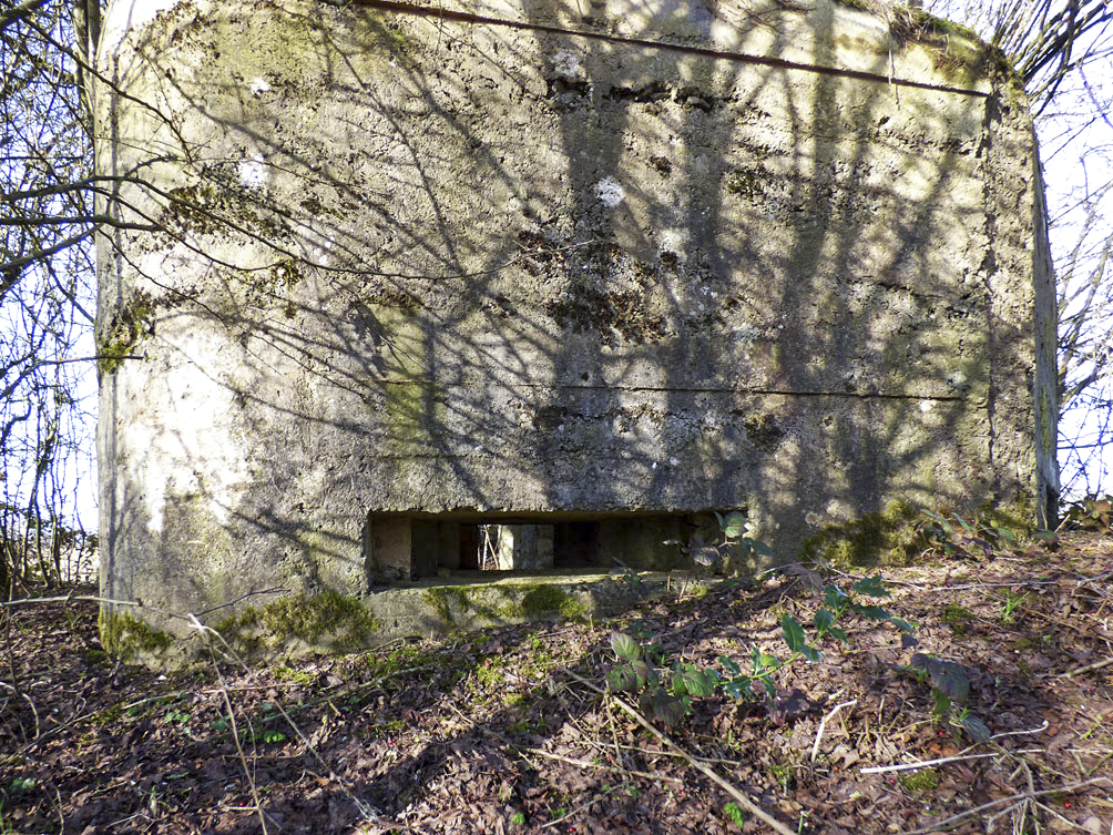 Ligne Maginot - BA102BIS - LE PAQUIS - (Blockhaus pour canon) - 
