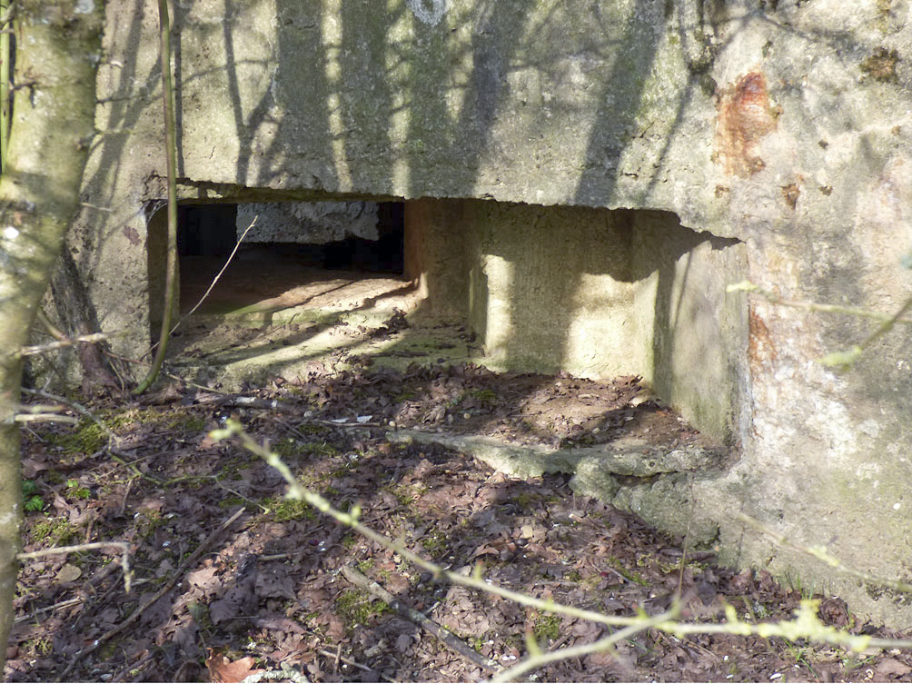 Ligne Maginot - BA102BIS - LE PAQUIS - (Blockhaus pour canon) - 