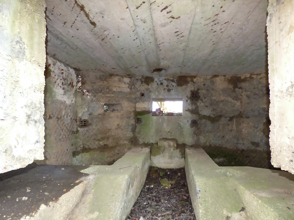 Ligne Maginot - BA102BIS - LE PAQUIS - (Blockhaus pour canon) - 