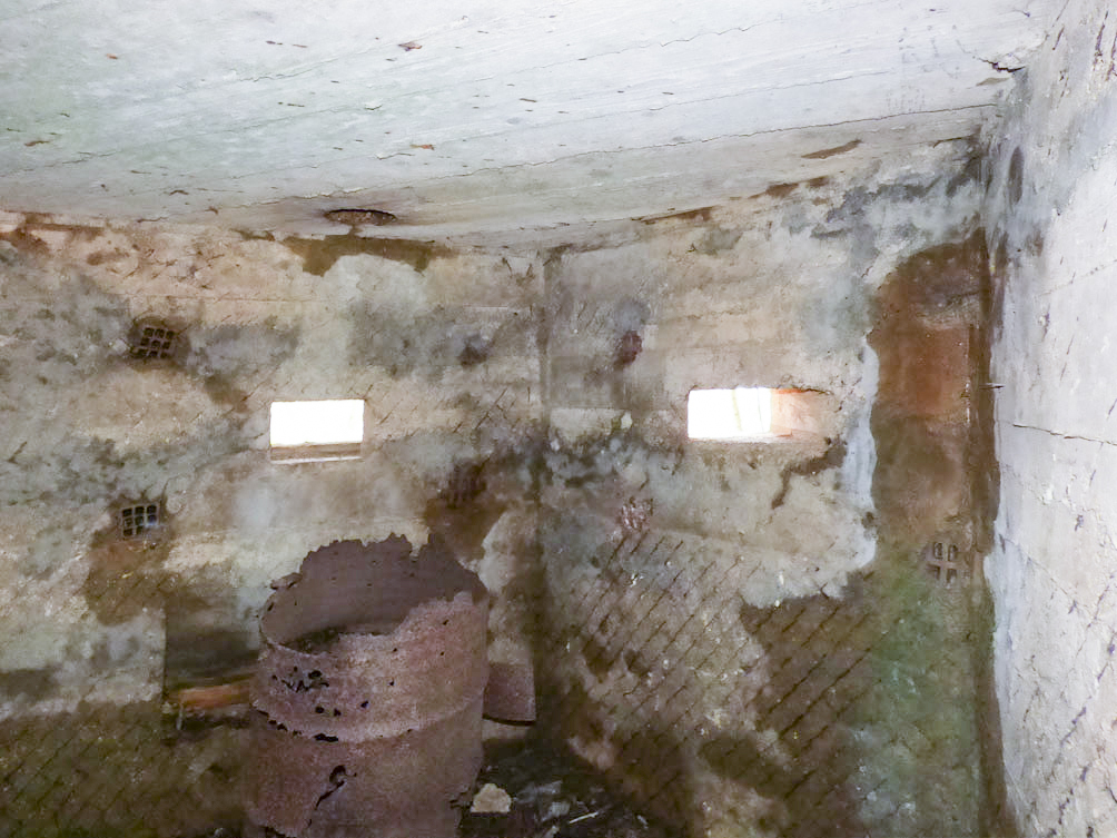 Ligne Maginot - BA102BIS - LE PAQUIS - (Blockhaus pour canon) - 