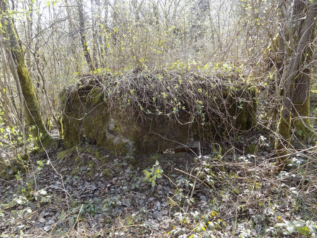 Ligne Maginot - BA107 - ROUTE DE REVIN 4 - (Blockhaus pour arme infanterie) - Faces frontale frontale gauche