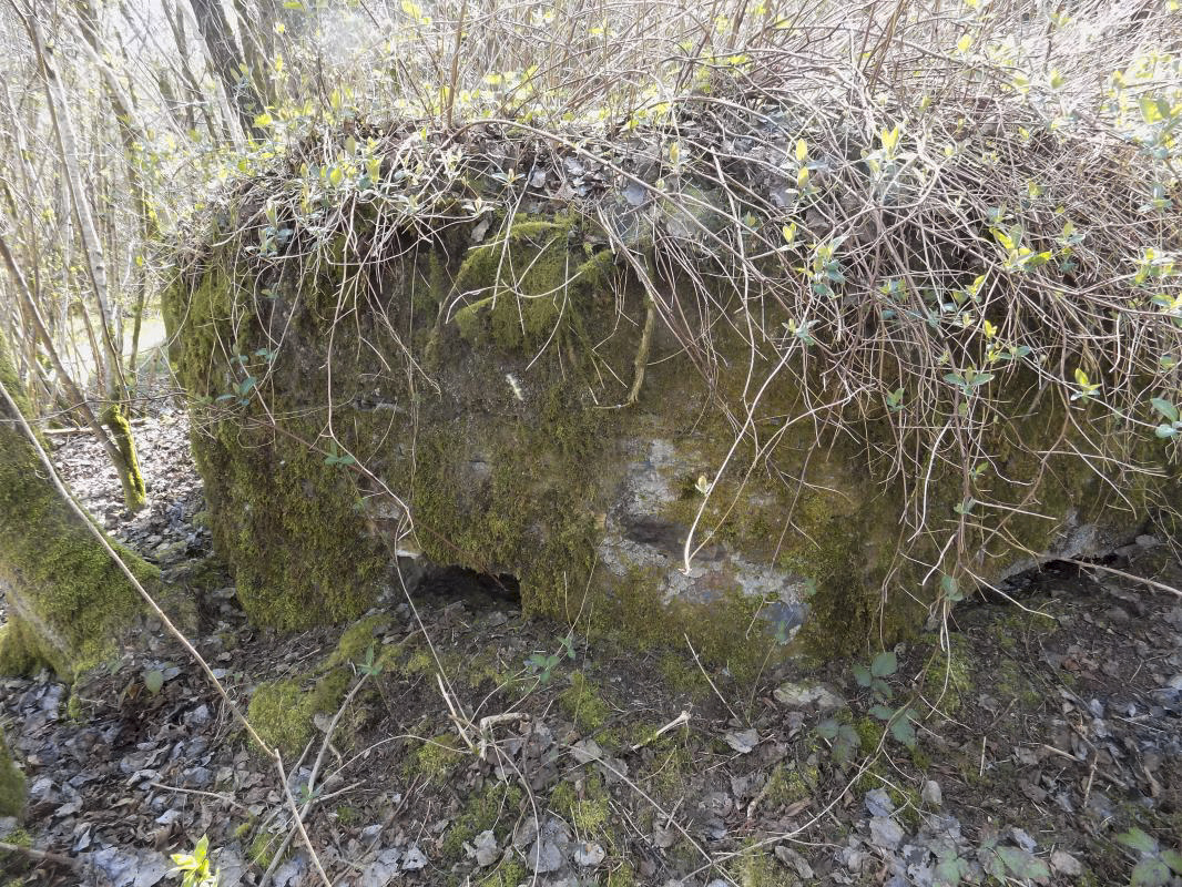 Ligne Maginot - BA107 - ROUTE DE REVIN 4 - (Blockhaus pour arme infanterie) - Faces frontale frontale gauche