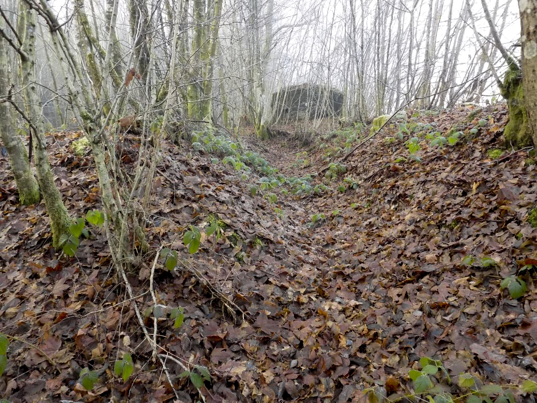 Ligne Maginot - BA108 - ROUTE DE REVIN 5 - (Blockhaus pour arme infanterie) - Tranché vers le bloc
