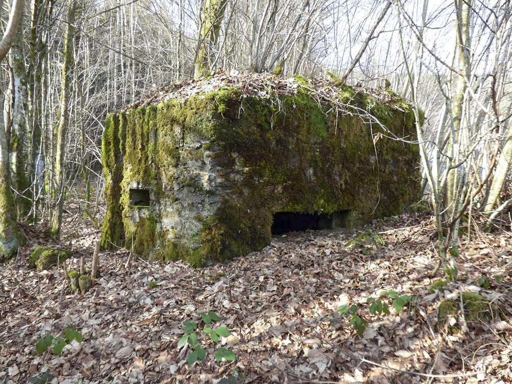 Ligne Maginot - BA108 - ROUTE DE REVIN 5 - (Blockhaus pour arme infanterie) - 