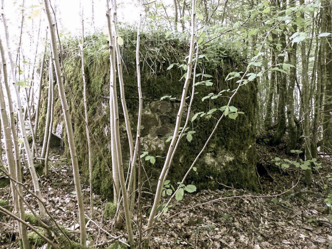 Ligne Maginot - BA108 - ROUTE DE REVIN 5 - (Blockhaus pour arme infanterie) - 