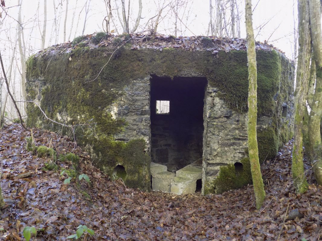 Ligne Maginot - BA108 - ROUTE DE REVIN 5 - (Blockhaus pour arme infanterie) - L'arrière