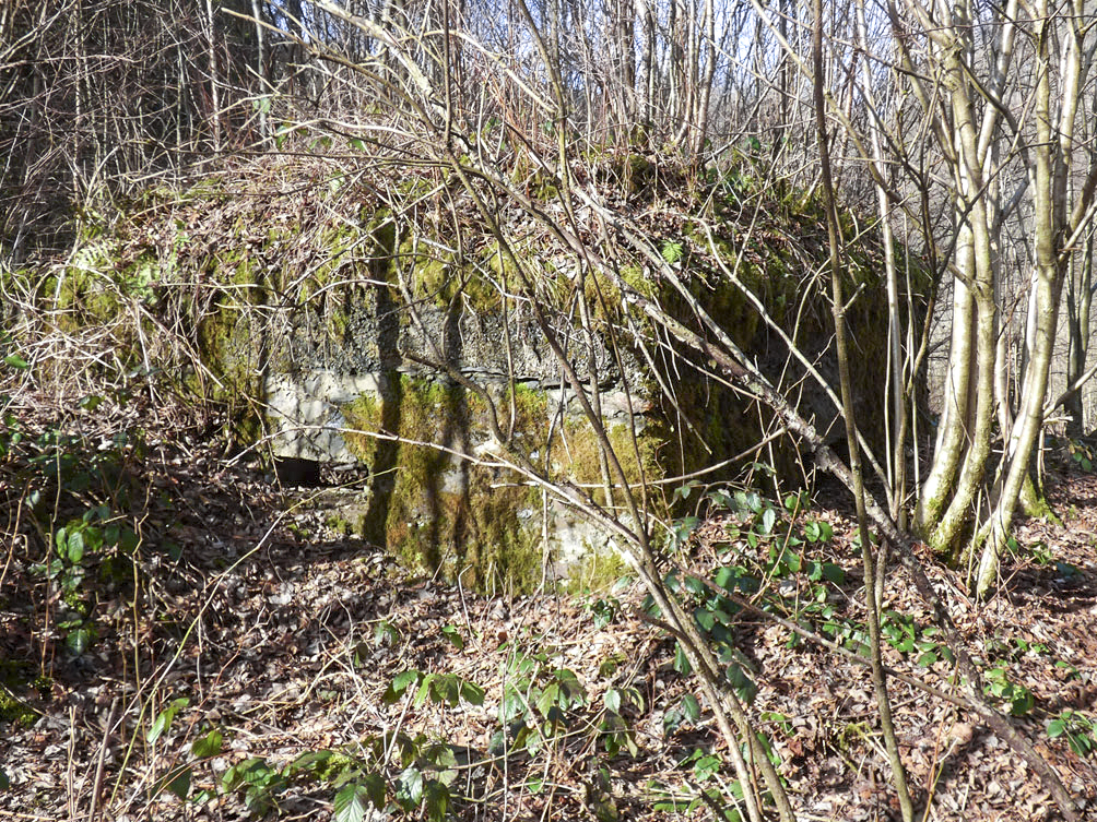Ligne Maginot - BA109 - ROUTE DE REVIN 6 - (Blockhaus pour canon) - 