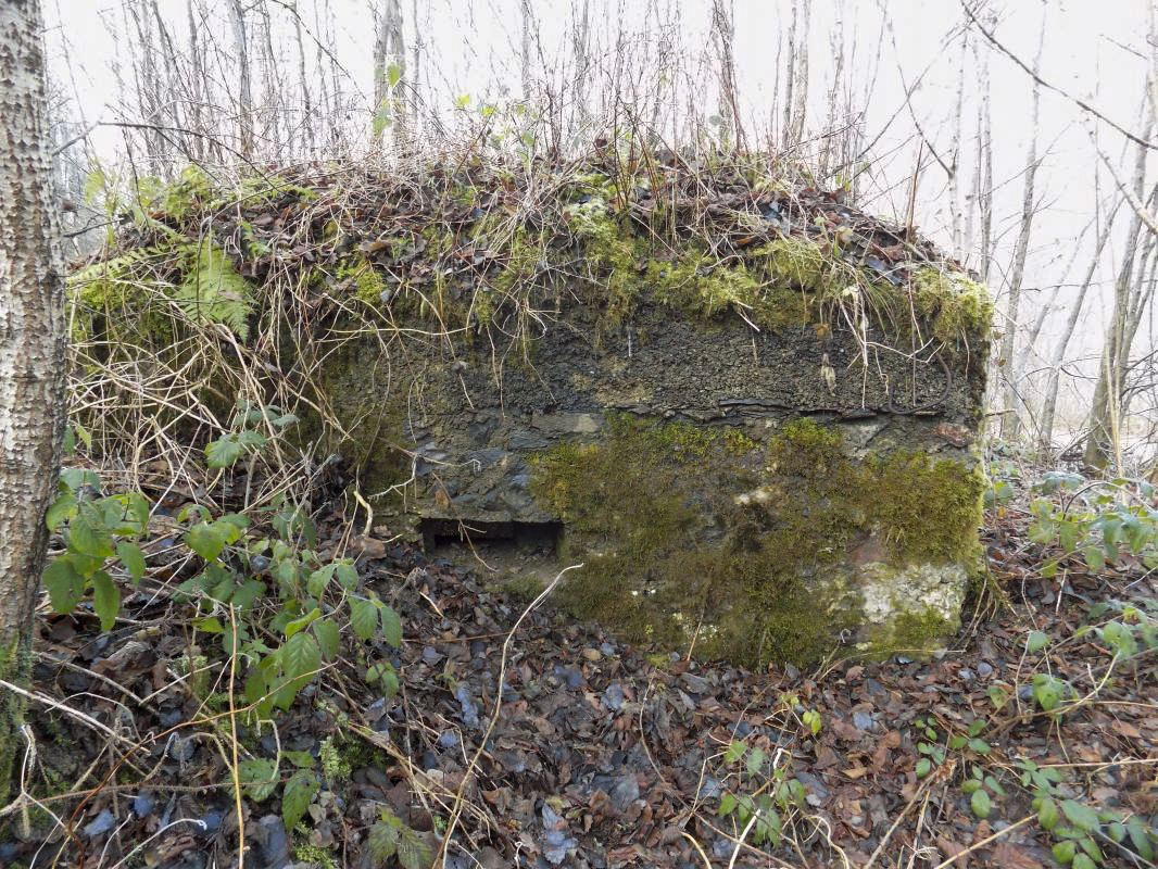 Ligne Maginot - BA109 - ROUTE DE REVIN 6 - (Blockhaus pour canon) - Face droite créneau FM
