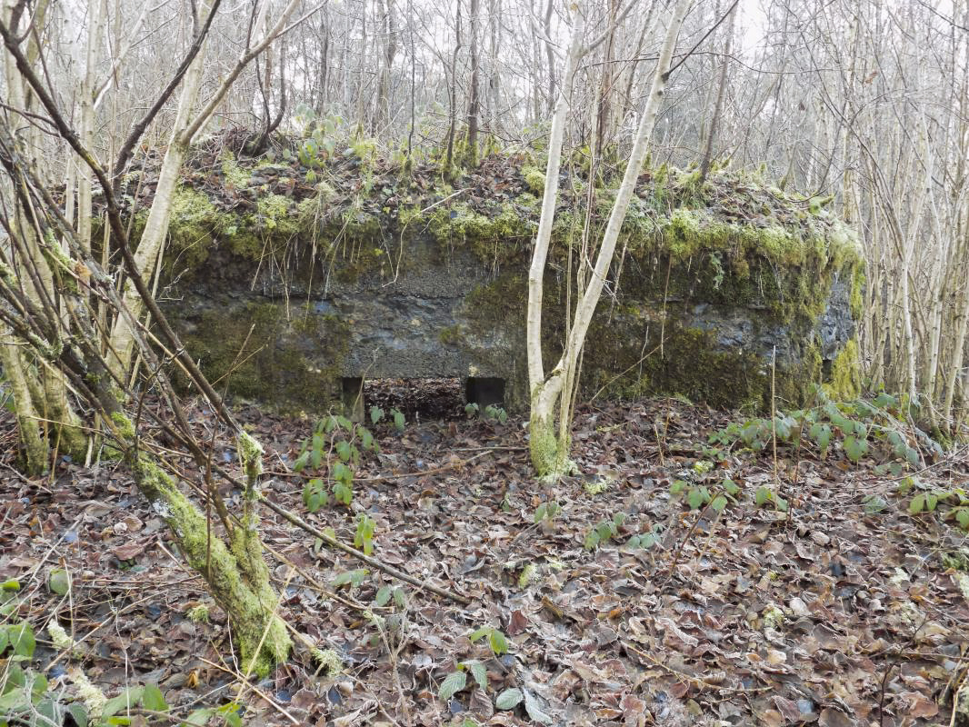Ligne Maginot - BA109 - ROUTE DE REVIN 6 - (Blockhaus pour canon) - Face frontale créneau AC