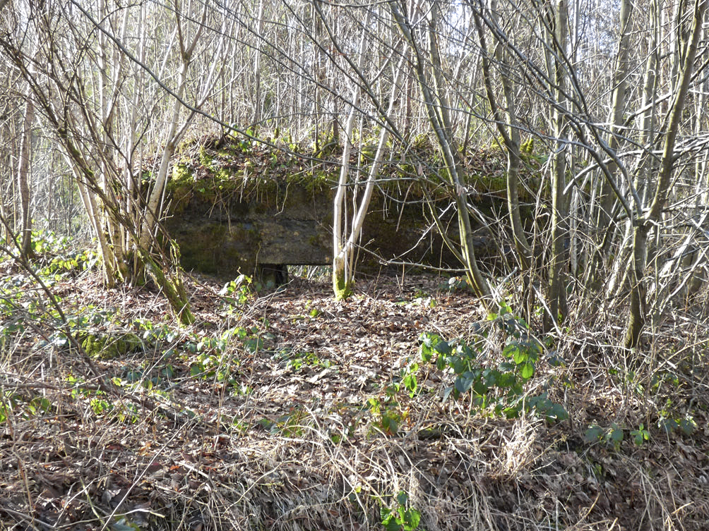 Ligne Maginot - BA109 - ROUTE DE REVIN 6 - (Blockhaus pour canon) - 
