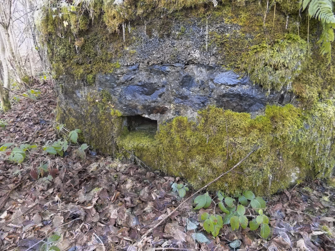 Ligne Maginot - BA109 - ROUTE DE REVIN 6 - (Blockhaus pour canon) - Face moitié gauche, créneau FM - R Tucker