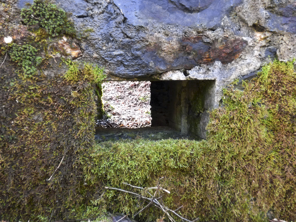 Ligne Maginot - BA109 - ROUTE DE REVIN 6 - (Blockhaus pour canon) - 