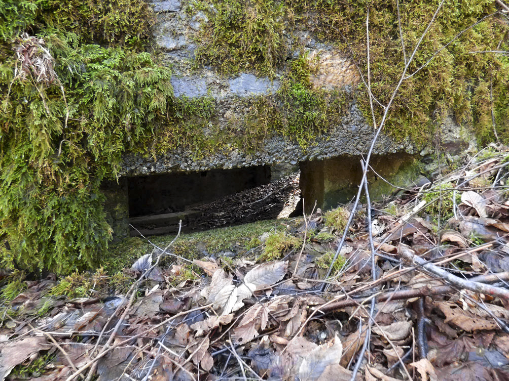Ligne Maginot - BA109 - ROUTE DE REVIN 6 - (Blockhaus pour canon) - 