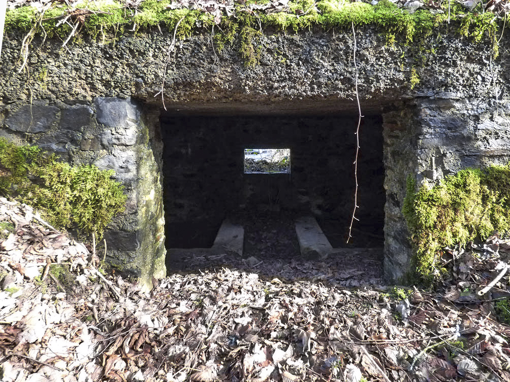 Ligne Maginot - BA109 - ROUTE DE REVIN 6 - (Blockhaus pour canon) - 