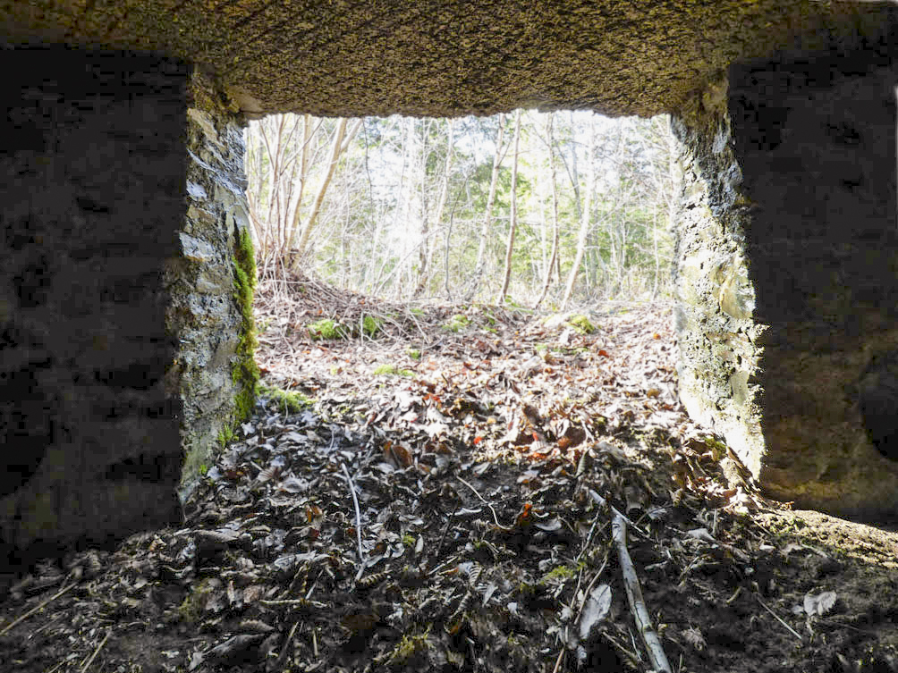 Ligne Maginot - BA109 - ROUTE DE REVIN 6 - (Blockhaus pour canon) - 