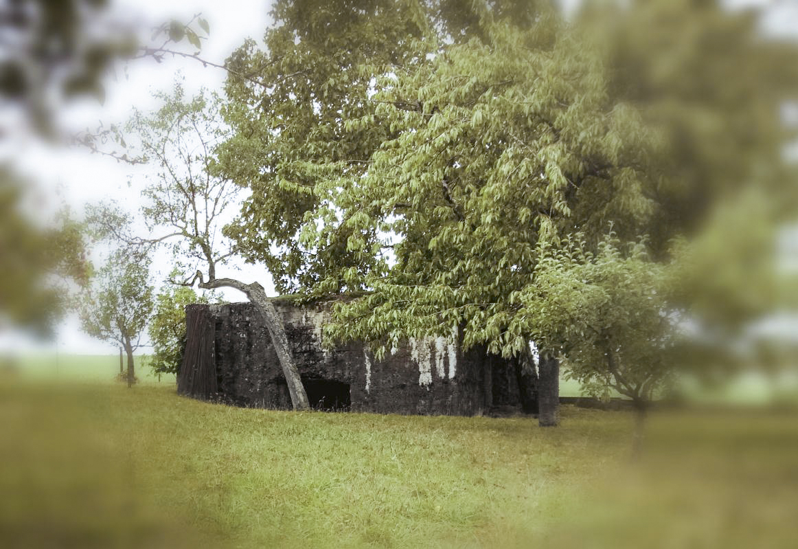 Ligne Maginot - BARST 1 - (Blockhaus pour canon) - Dans un terrain privé
