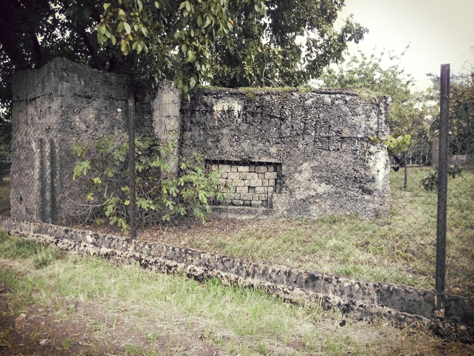 Ligne Maginot - BARST 1 - (Blockhaus pour canon) - Dans  un terrain privé