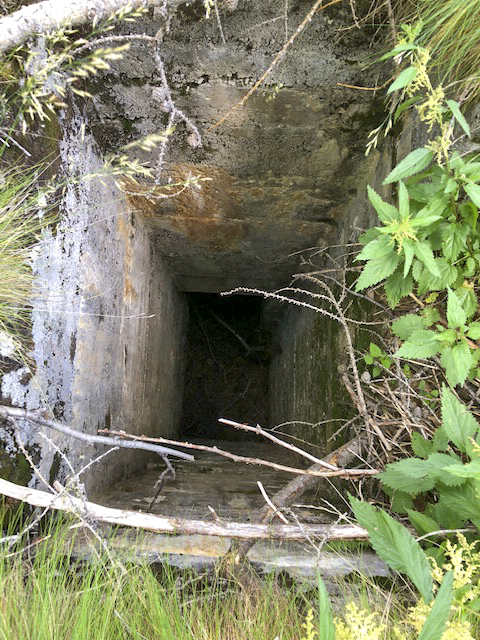 Ligne Maginot - CASSE BLANCHE - (Abri) - Issue de secours
Le débouché extérieur