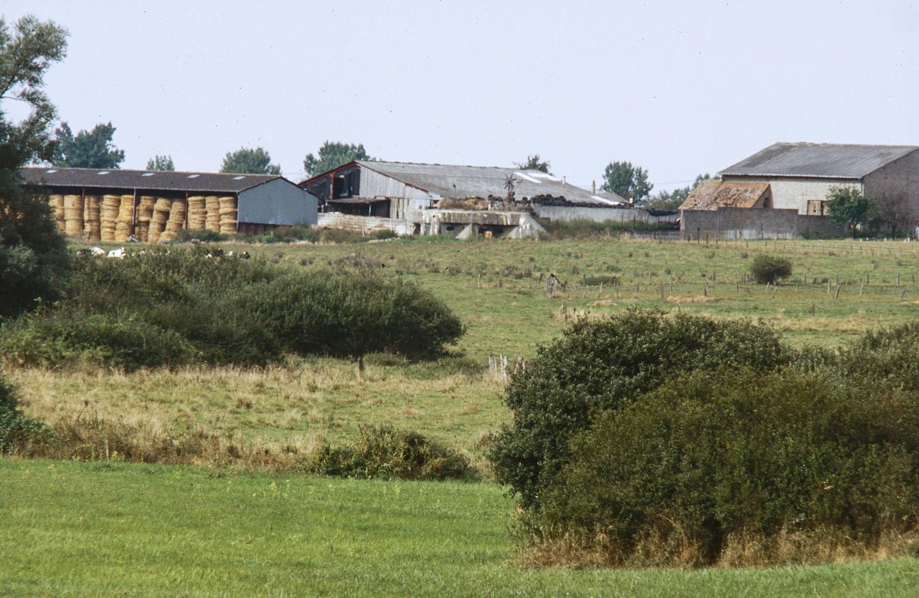 Ligne Maginot - MC16 - AC5B  - BIDING SUD - (Casemate d'artillerie) - Vu de Maxstadt - MANSUY Michel