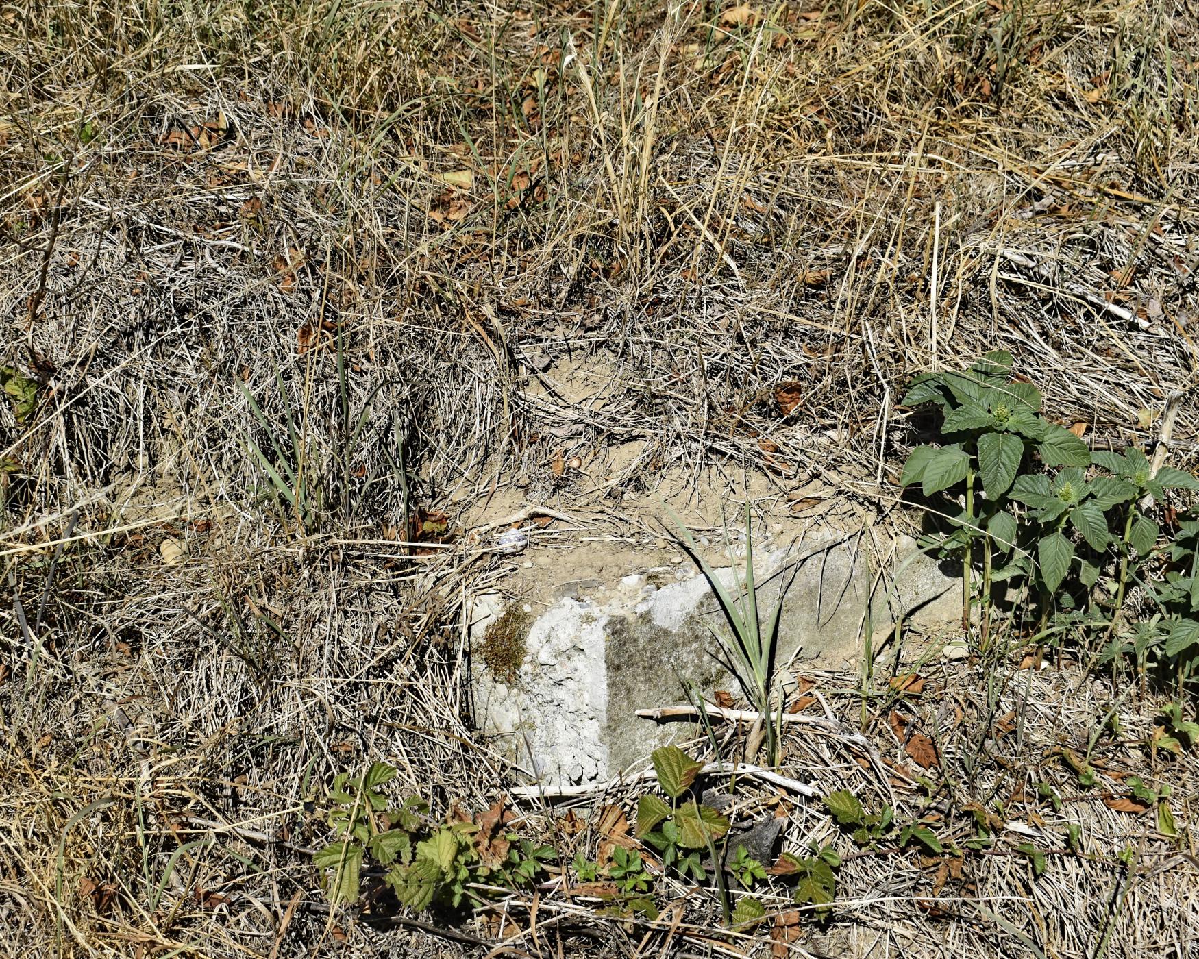 Ligne Maginot - FESSENHEIM 2 - (Blockhaus de type indéterminé) - emplacement de l'entrée - Daniel Froehly