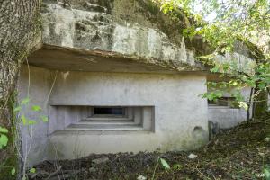 Ligne Maginot - B3 - LE BAS DES PRÉS SUD - (Blockhaus pour canon) - Les deux créneaux